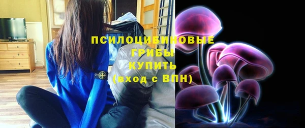 дурь Алзамай