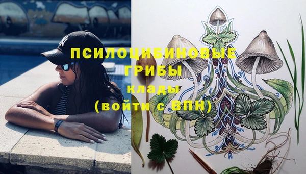 дурь Алзамай