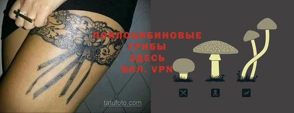 не бодяженный Алексин